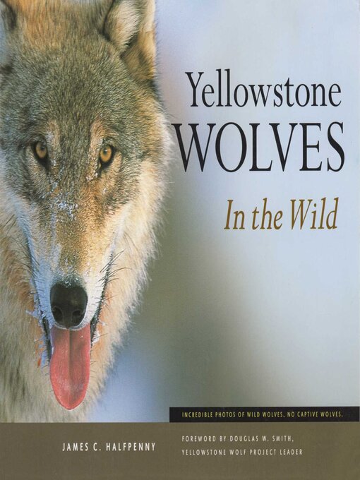 Title details for Yellowstone Wolves in the Wild by James C Halfpenny - Available